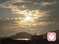 好的伴侣恰似暖阳，从不刻意喧闹，却恒久散发温柔热度。当你身陷低谷，他是引路的光；当生活归于平淡，他是随身的暖，安稳陪伴，岁岁年年。