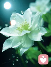 不适合的圈子不要去硬挤  有几分能力过几分的日子  不攀比  平平淡淡才是真配图