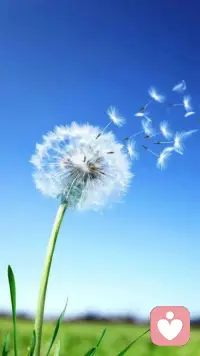 不适合的圈子不要去硬挤  有几分能力过几分的日子  不攀比  平平淡淡才是真配图