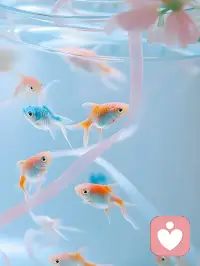 余生请好好爱自己   
是对自己最长情的告白配图