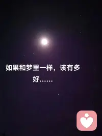 梦里烟火真切，欢喜触手可及，
可一睁眼，所有温暖尽数散去。配图