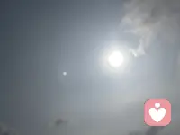 不必迎合世俗眼光，心向暖阳，自在生长。忠于本心，接纳所有，勇敢做独一无二、真实热烈的自己。