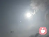不必迎合世俗眼光，心向暖阳，自在生长。忠于本心，接纳所有，勇敢做独一无二、真实热烈的自己。