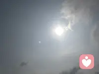不必迎合世俗眼光，心向暖阳，自在生长。忠于本心，接纳所有，勇敢做独一无二、真实热烈的自己。