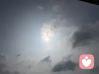 不必迎合世俗眼光，心向暖阳，自在生长。忠于本心，接纳所有，勇敢做独一无二、真实热烈的自己。
