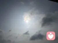 不必迎合世俗眼光，心向暖阳，自在生长。忠于本心，接纳所有，勇敢做独一无二、真实热烈的自己。