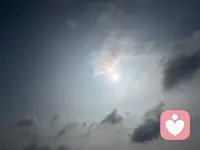 不必迎合世俗眼光，心向暖阳，自在生长。忠于本心，接纳所有，勇敢做独一无二、真实热烈的自己。