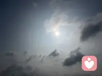 不必迎合世俗眼光，心向暖阳，自在生长。忠于本心，接纳所有，勇敢做独一无二、真实热烈的自己。