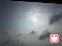 不必迎合世俗眼光，心向暖阳，自在生长。忠于本心，接纳所有，勇敢做独一无二、真实热烈的自己。