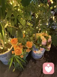 没有人知道，我花了多长时间，熬过多少撕心裂肺，才重新找回了内心的平静。老天要渡你，就是会拿你最执着的东西，一遍又一遍的磨你，磨到你流干眼泪，磨到你撞够南墙，磨到你终于肯松开手，不再死抓不放，这一刻才算真正结业。后来我不再急着落泪，也不再勉强自己压抑情绪，因为我终于明白平静太珍贵了，经不起反复的折腾和消耗。其实人和人互为镜子，无论是谁，你待我如何，我便待你如何，这是礼貌，也是规矩。