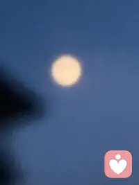 七夕节快乐🎊
今晚的月亮🌙肉眼可见是半圆
🉑我却拍出了圆月