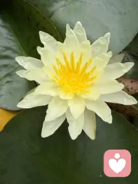 果然，年少时不能遇见太惊艳的人，一眼惊鸿误半生。余生风月皆平庸，从此青山皆过客。
满目山河不是春，人间烟火千千万，再无一人入我心。