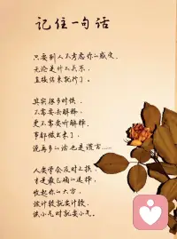 及时止损