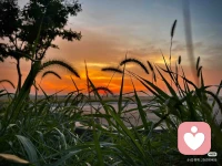 情绪没有对错，被看见、被倾听，就是治愈。