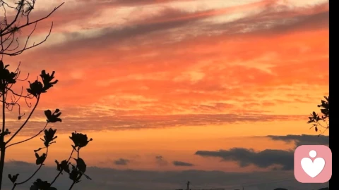 生活本就是矛盾，不用假装坚强。