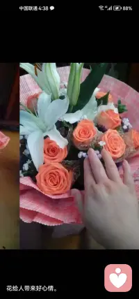 无论你身处何种困境，请记住：以坚持为翼，以热爱为帆，在低谷中蓄力，终能破局开花。配图