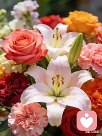 这世上太多人计算得失，太多人害怕受伤。可爱情最美的样子，从来不是全身而退，而是明知会输，依然选择全力以赴。配图