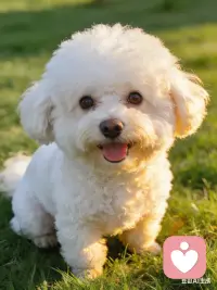 真正的成熟，不是变得圆滑世故、不再受伤，而是依然保有对他人的慈悲，对世界的好奇，并在看清生活的真相后，依然热爱它。配图