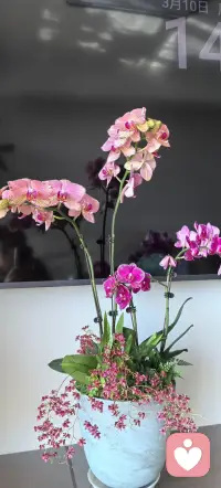 愿每个家，都有倾听，有理解，有温柔；

愿每个在爱里行走的人，都被看见，被懂得，被珍惜。

愿每个孤独的人，心里都能得到慰藉。配图