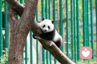 每一段关系都值得被温柔修复，
每一份情绪都值得被认真看见。配图