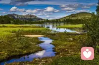 在忙碌的间隙，伸个懒腰，喝一杯温水，用最温柔的方式，拥抱那个疲惫的自己。配图