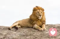 保护自己不再受伤害。你需要将注意力从伤害你的人身上收回来，投向自己的生活、爱好和内心成长。配图