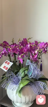 只有愿意换位思考的心；没有永远的合拍，只有愿意迁就的情。好的婚姻，是有人懂你的言外之意，心疼你的欲言又止，是哪怕世界无人懂你，他始终是你的归宿。配图