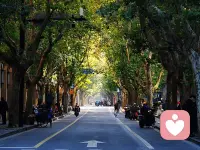 把那些压在心里的事慢慢说出来，不用怕麻烦，也不用怕矫情——被听见、被理解，本身就是最好的治愈。配图