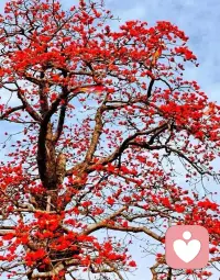 和谐相处是人与自然共生的智慧，保护动物就是保护自然和我们自己