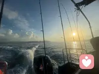 愿你眼里有光，心中有爱，脚下有路，身边有暖。