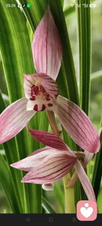 无论选择修复还是离开，都别忘记爱自己。婚姻的意义，是互相滋养，不是单方面付出和委屈。守住自己的底线，才能守住自己的人生。