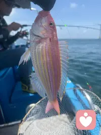 成长，从来不是一蹴而就的蜕变，而是细水长流的积累。”