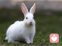 真正的疗愈，从来不是消除情绪，而是看见情绪；不是逃避冲突，而是直面冲突。