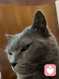 愿我们都能：温柔去爱，适度去爱，清醒去爱。配图