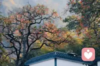 我在这里，不催你，不评判，不讲大道理。你可以慢慢说，我静静听。允许自己脆弱，允许自己普通，允许自己花时间停下来配图