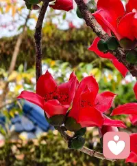 爱不是一场雕刻，而是一场栽培。你要做的，不是把对方修剪成你想要的形状，而是给他阳光和雨露，让他长成他原本最美的样子。配图