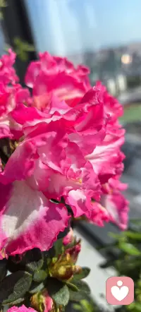 把日子过细，把感情捂热，三餐四季，岁岁年年，平凡也浪漫。配图