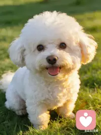 良好的心理状态，离不开对关系的清醒认知。无论是亲情、友情还是爱情，健康的关系从来不是相互捆绑、彼此消耗，而是相互滋养、共同成长配图