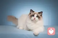 真正的善良，不是把自己掏空去填别人，而是你的丰盈自然地流出来一点，刚好滋润了路过的人。配图