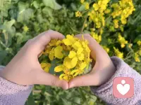 我愿意做那个安静、稳定、一直都在的人。不指责、不催促、不放弃。你说，我听。配图