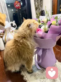 愿我们对生活的敬畏与热爱里。愿我们都能读懂爱自己的真谛，在分寸之间，活成最温暖、最强大的自己。配图