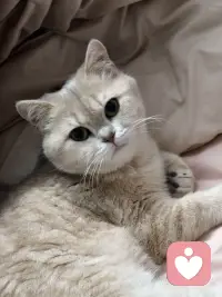 我在这里，认真听你说，你值得被好好倾听、好好对待。配图