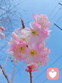 学会疏导情绪，就是善待自己最好的方式。配图