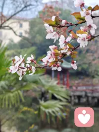 早，周末快乐。配图