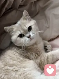 而是为了告诉自己——我的感受是真实的，它值得被看见。配图