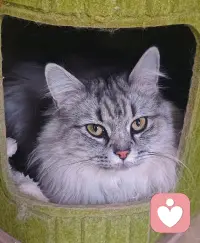 让你放下负累，放下愤怒，放下哀怨，重新拥抱自己的生命，就像新生一样。配图