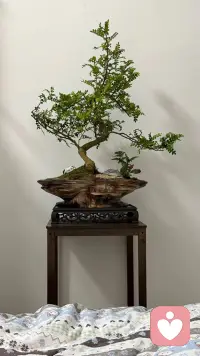 早安，我在你这里等你。配图