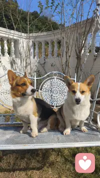 一个人也能把日子过得安稳又闪亮配图