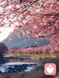 你需要被看见、被照顾、被理解。配图