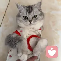 不必因与众不同而自卑，不必因他人眼光而隐藏。配图